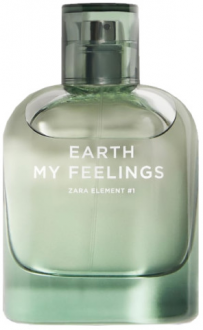 Zara Earth My Feelings EDT 80 ml Erkek Parfümü kullananlar yorumlar